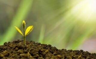Why you should trust your instincts